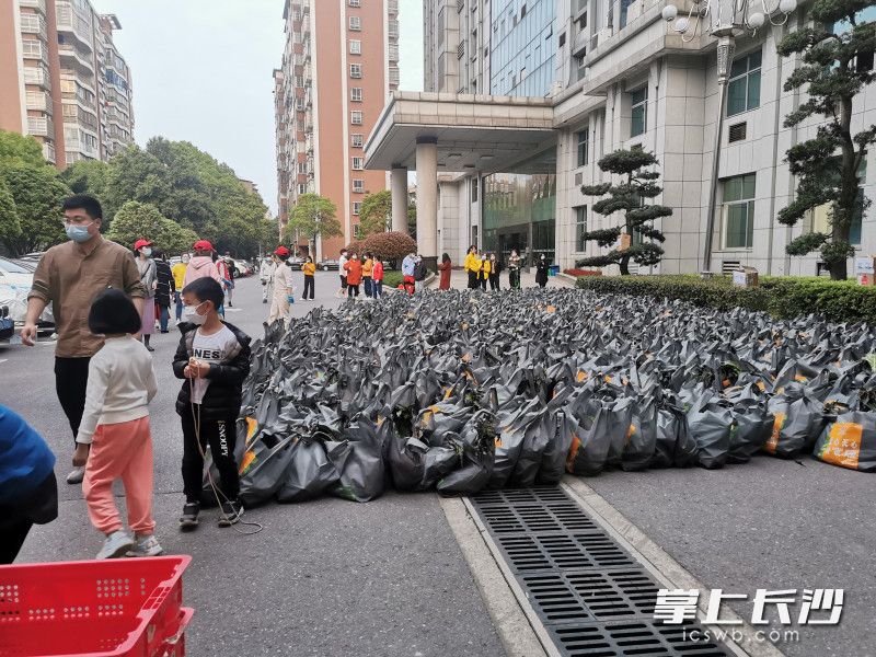 780份蔬菜包送到了湘林小區院內。長(cháng)沙晚報實(shí)習生 羅楊 攝